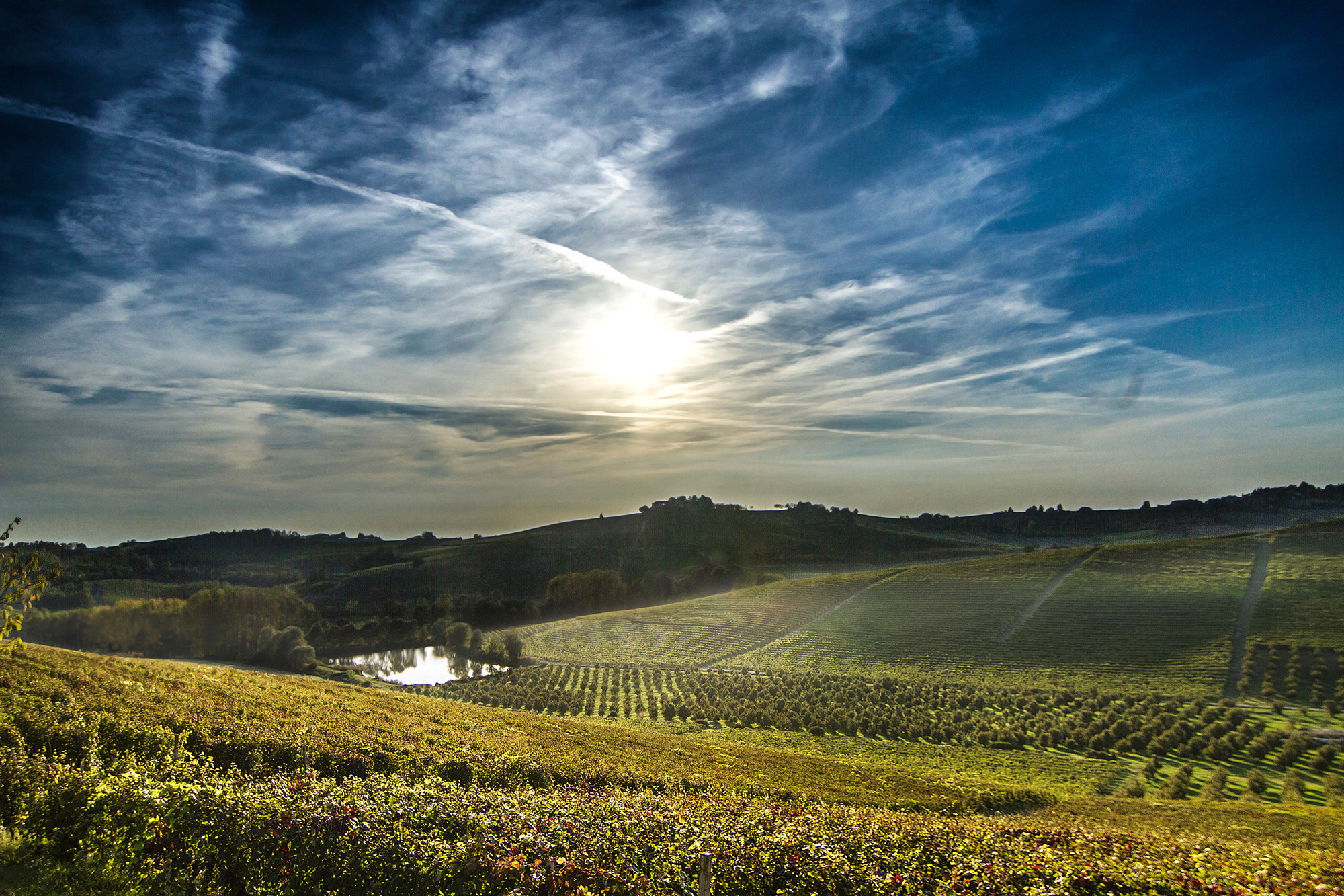 Forbes: Sommerweine aus vier italienischen Regionen