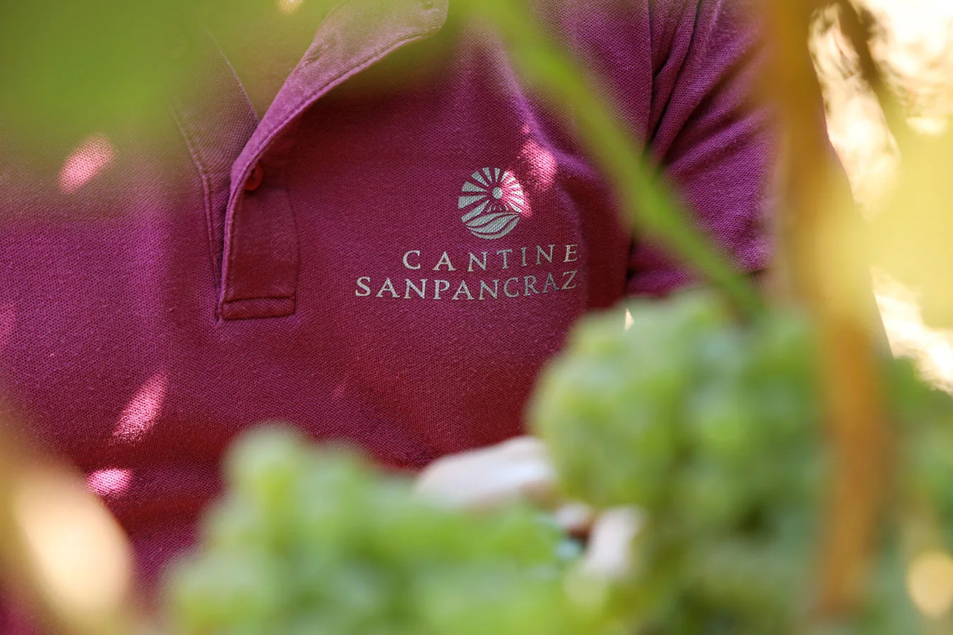 CANTINE SAN PANCRAZIO