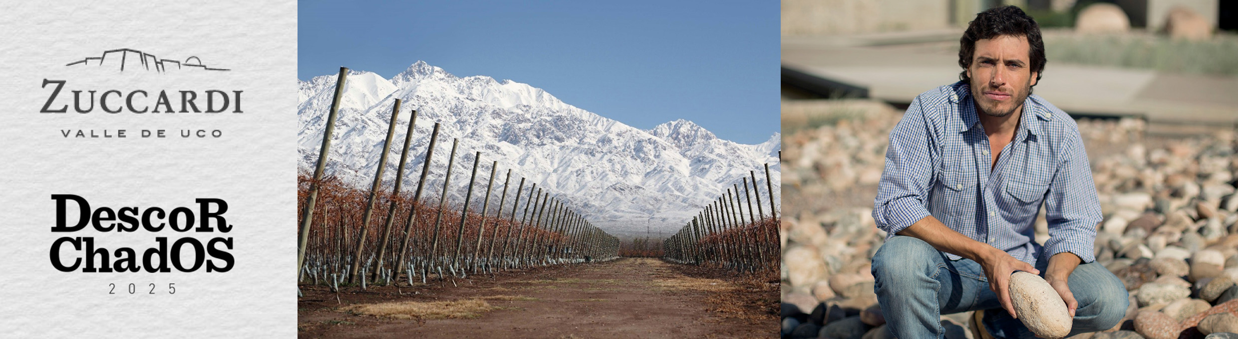Beeindruckende Bewertungen für Zuccardi